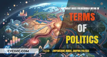 Understanding Vulnerability in Politics: A Comprehensive Guide