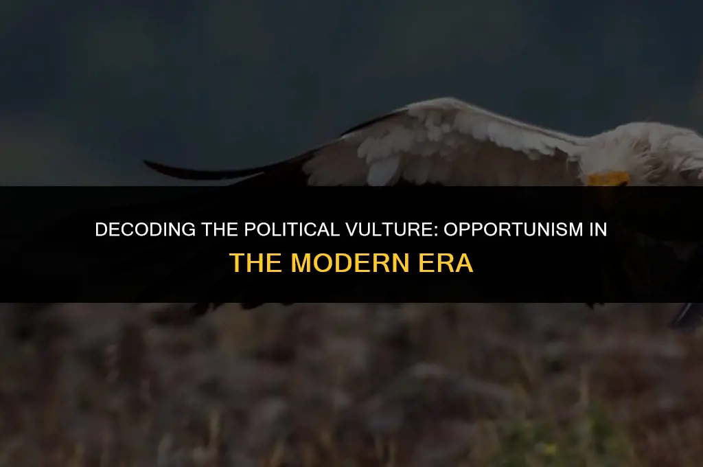 what does vulture mean in politics