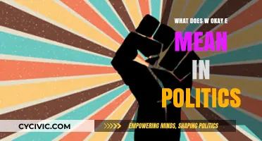 Decoding Political Jargon: What Does 'Woke' Really Mean?