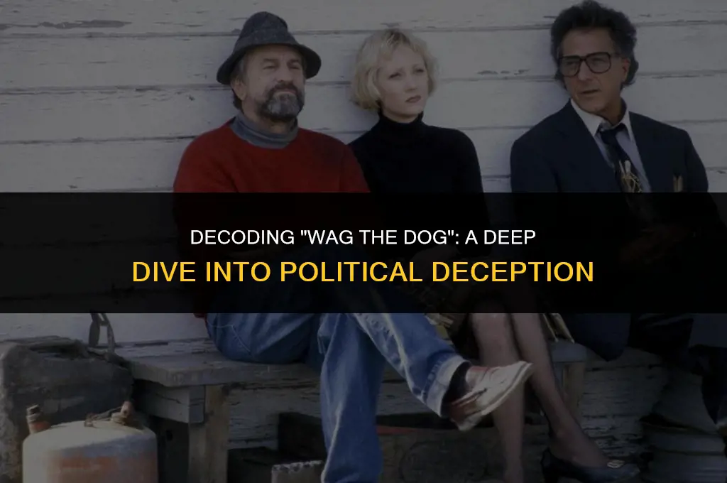 what does wag the dog mean in political terms