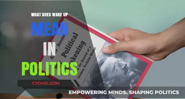 Awakening to Political Reality: Understanding the Wake-Up Call