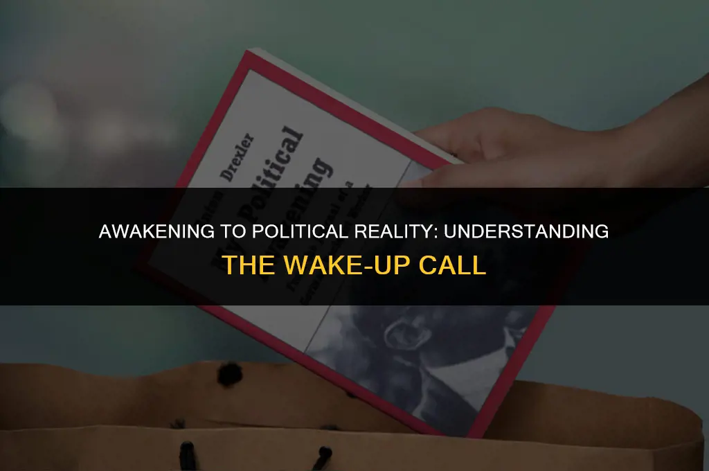 what does wake up mean in politics