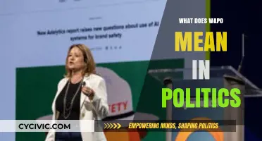 Decoding WAPO: Understanding Its Role and Influence in Politics