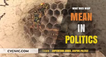 Decoding WASP: Understanding Its Political Implications and Impact