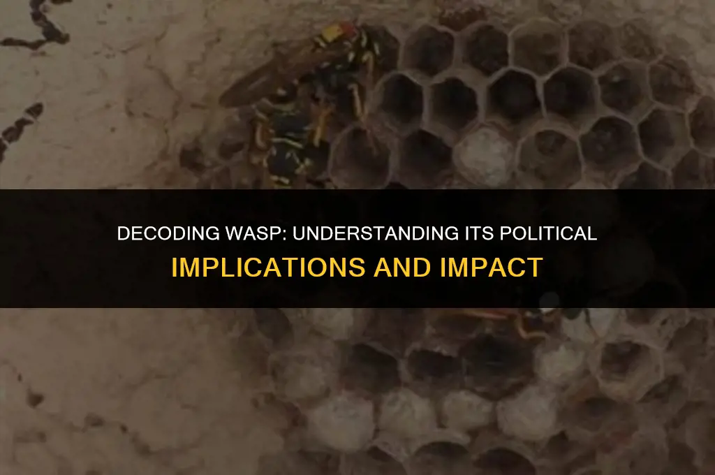 what does wasp mean in politics