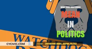 Unleashing the Watchdog: Oversight and Accountability in Politics