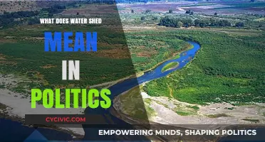 Decoding 'Water Shed' Moments in Political Landscapes