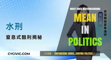 Decoding Waterboarding: A Deep Dive into Political Controversies