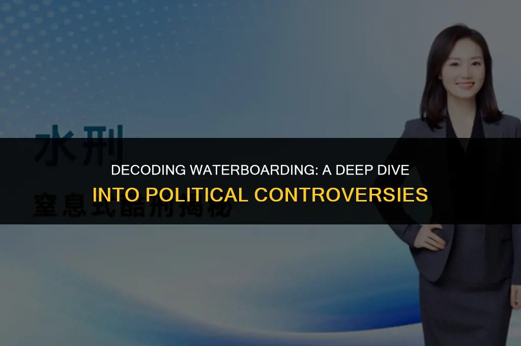 what does waterboarding mean in politics