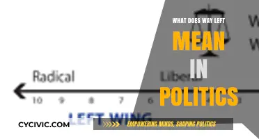 Decoding Political Spectrum: Understanding the Term 'Way Left
