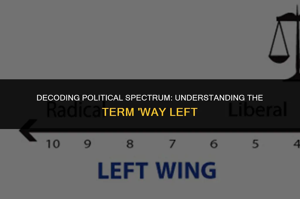 what does way left mean in politics