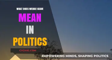 Decoding Wedge Issues: How Politics Divides and Conquers