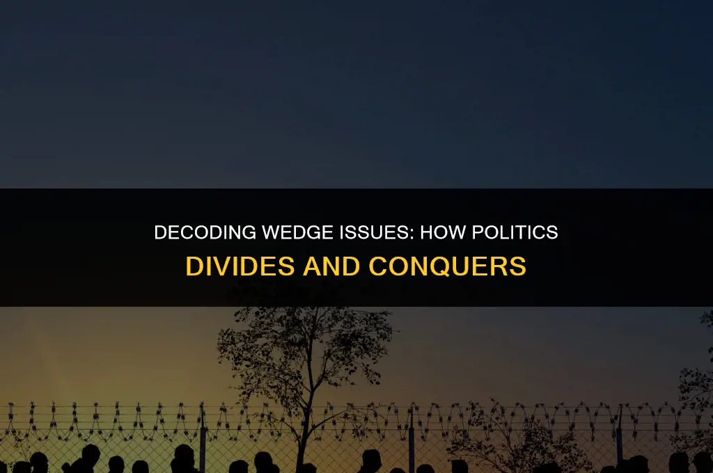 what does wedge issue mean in politics