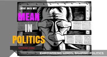 Decoding Political Jargon: What Does 'Wet' Really Mean?