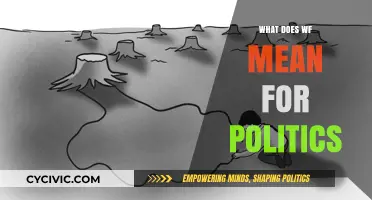 Decoding 'WF': Unraveling Its Political Implications and Impact