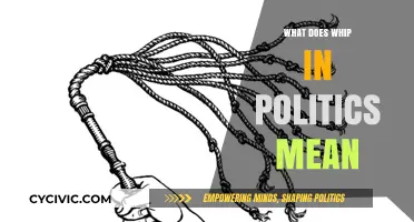 Understanding the Political Whip: A Guide to Party Discipline