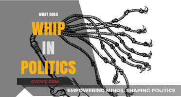 Understanding the Political Term WHIP: Roles, Responsibilities, and Influence