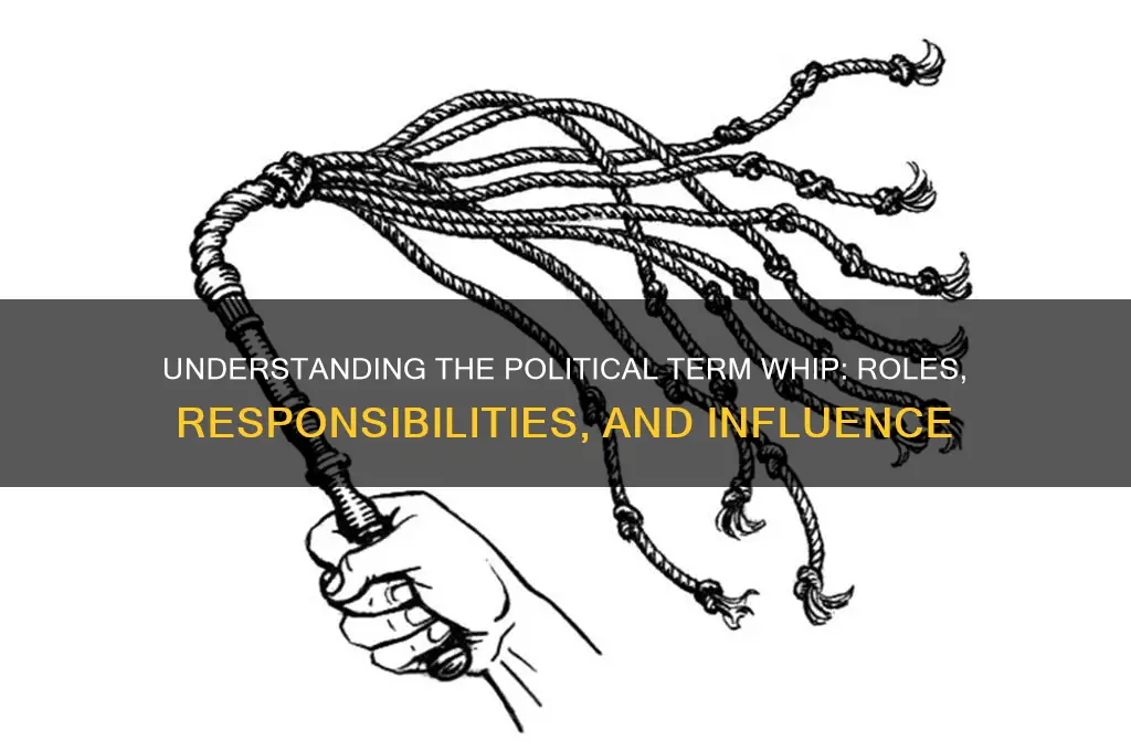what does whip in politics
