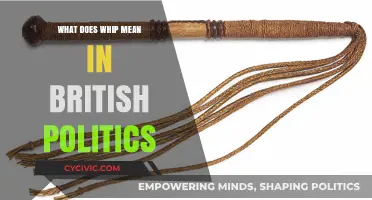Understanding the Role of the Whip in British Politics