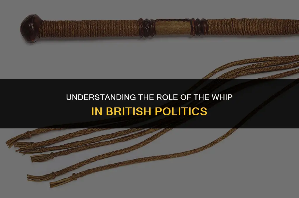what does whip mean in british politics