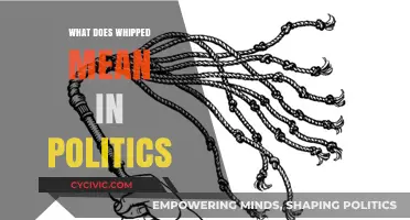 Decoding Political Jargon: What Does 'Whipped' Really Mean?