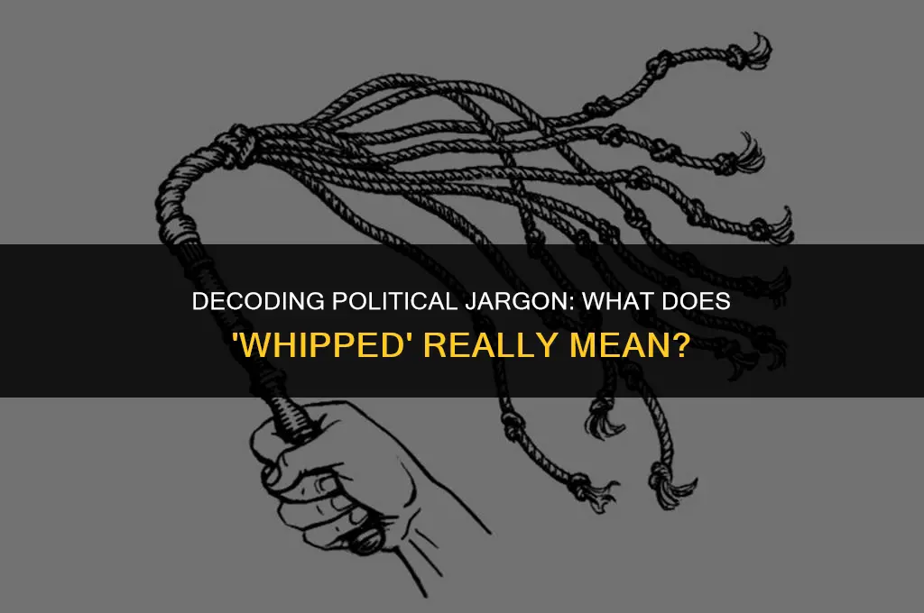 what does whipped mean in politics