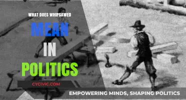 Decoding Political Jargon: Understanding the Term 'Whipsawed