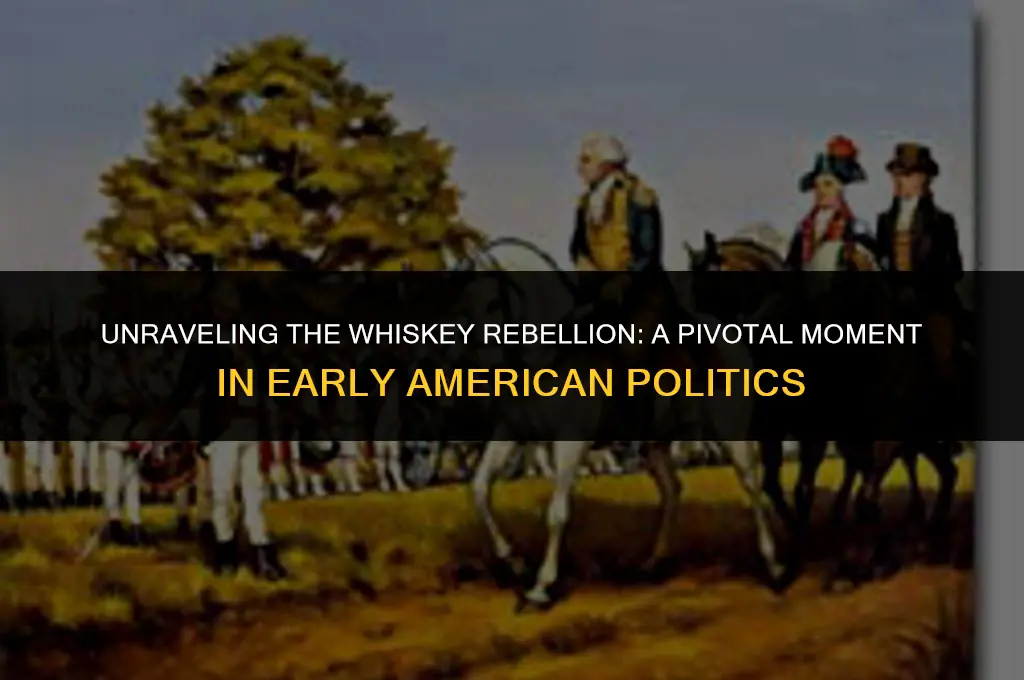 what does whiskey rebellion mean in politics