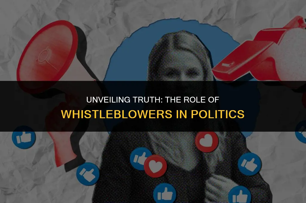 what does whistleblower mean in politics