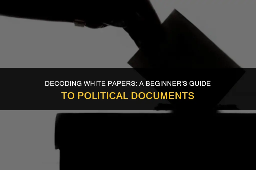 what does white paper mean in politics