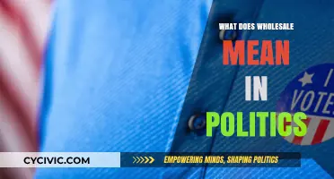 Decoding Wholesale Politics: A Deep Dive into Bulk Influence and Power Dynamics