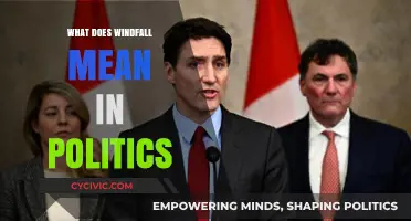 Understanding Windfalls: The Political Implications of Unexpected Gains