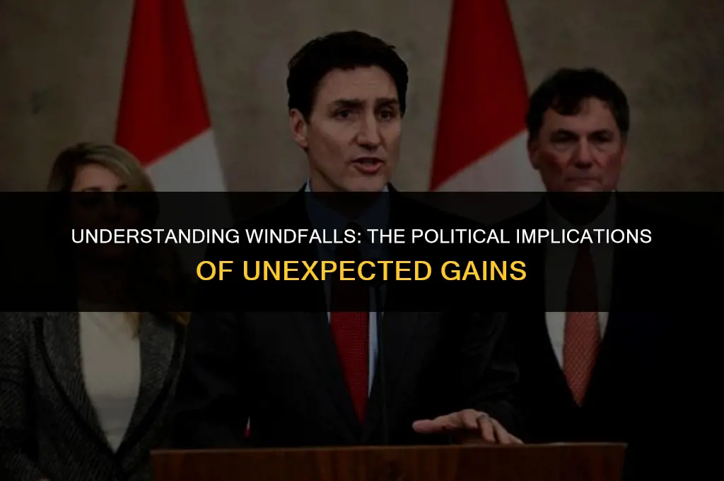 what does windfall mean in politics