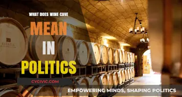 Uncorking the Mystery: Understanding 'Wine Cave' in Political Jargon
