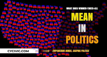 Decoding the Political Landscape: What 'Winner-Takes-All' Really Means