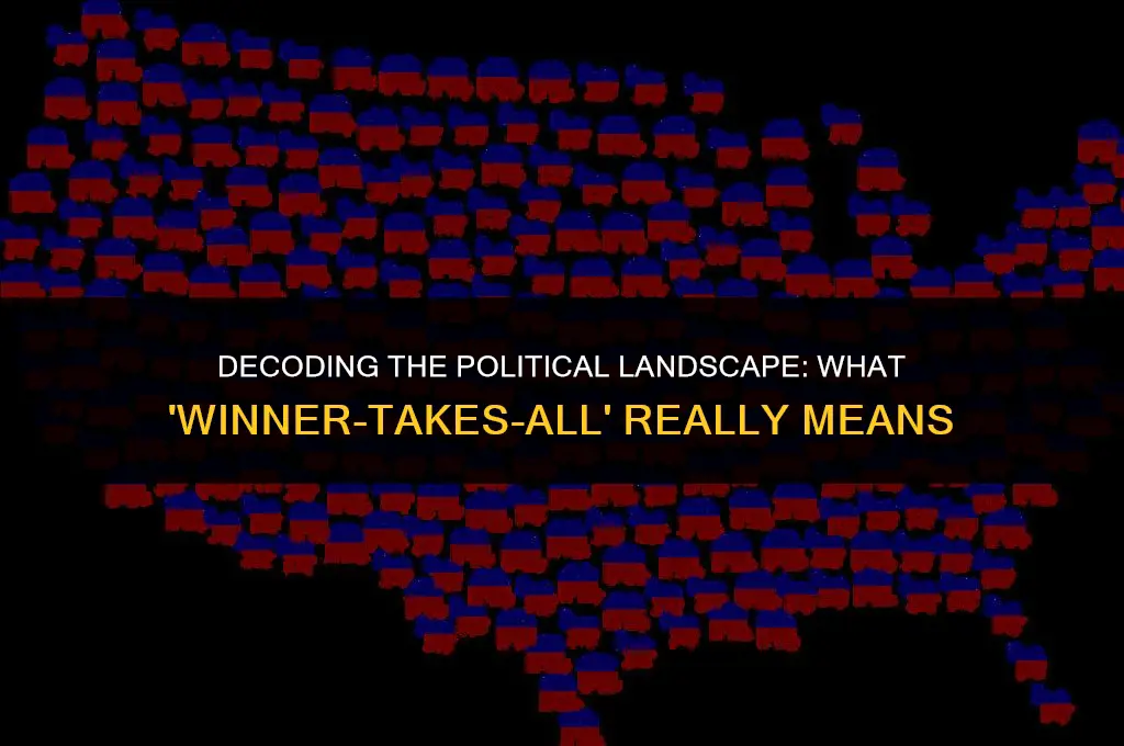 what does winner-takes-all mean in politics
