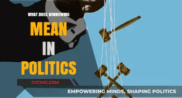 Understanding Winnowing: The Political Process of Narrowing Down Candidates