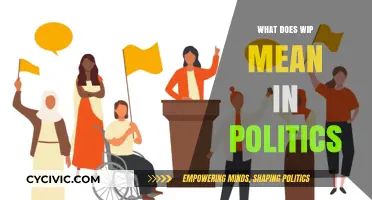 Decoding Political Jargon: What Does 'WIP' Really Mean?