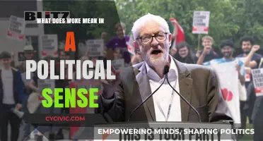 Understanding 'Woke' Politics: A Comprehensive Guide to the Term's Evolution and Impact