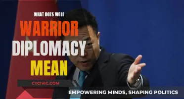 Wolf Warrior Diplomacy: China's Aggressive Foreign Policy Explained