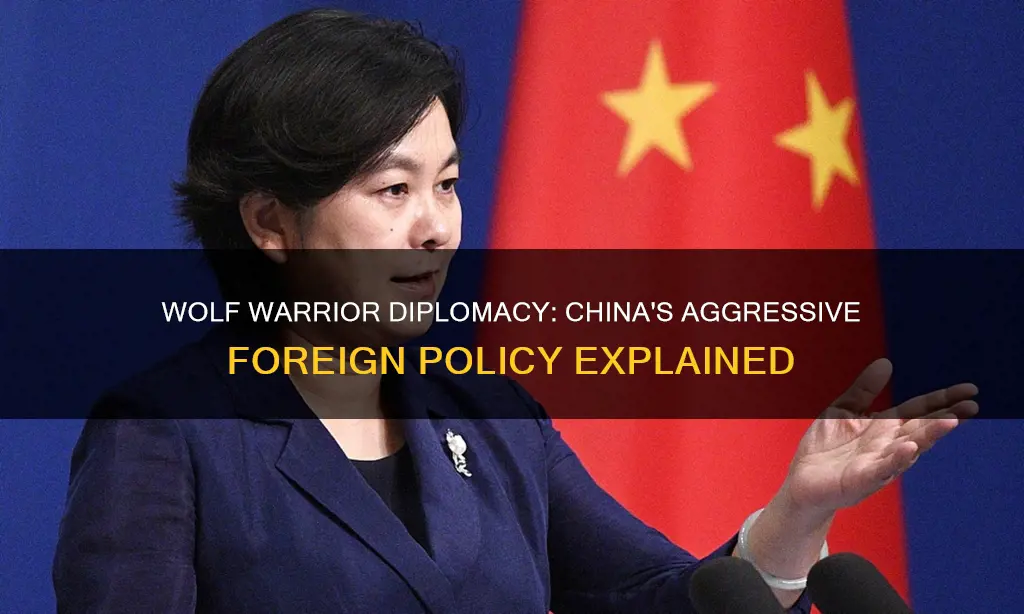 what does wolf warrior diplomacy mean