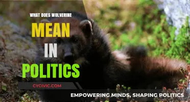 Decoding the Wolverine: A Deep Dive into Political Jargon