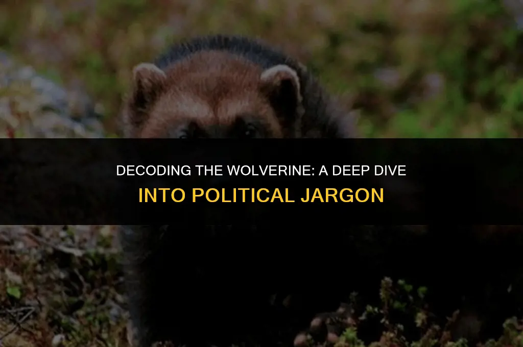 what does wolverine mean in politics