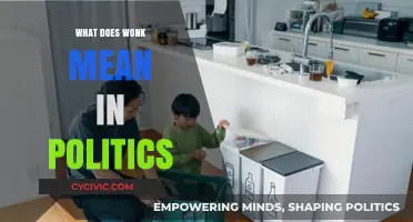 Decoding the Wonk: Understanding Political Jargon in Modern Discourse