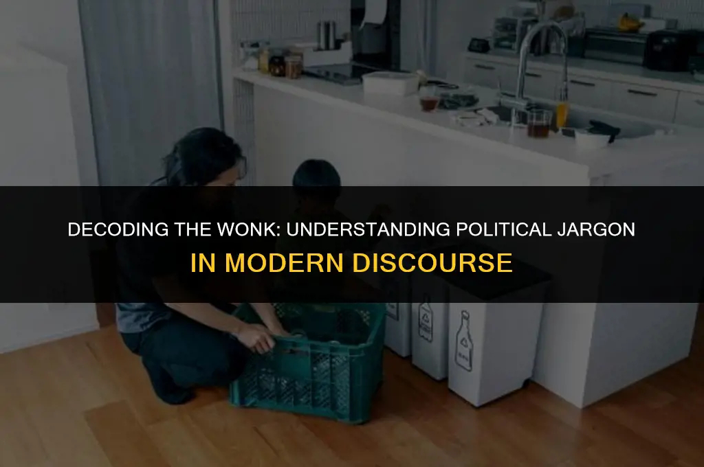 what does wonk mean in politics