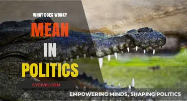 Decoding Wonky: Understanding the Jargon of Political Insiders