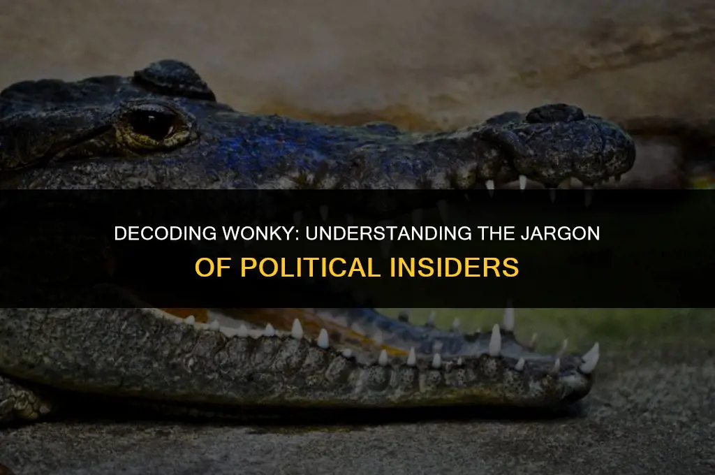 what does wonky mean in politics
