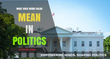 Decoding Political Jargon: What's Behind the Term "Word Salad"?