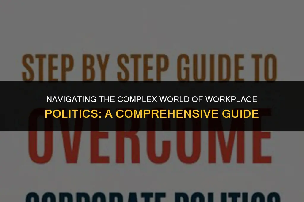 what does work politics mean