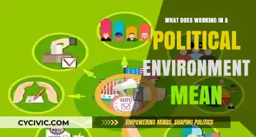 Navigating the Nuances: What Does Working in a Political Environment Mean?